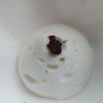 フィリップ・ミル 東京 - シャウルスチーズ（白カビのチーズ）をもちいたムース