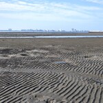 支那ソバ 小むろ - ふなばし三番瀬海浜公園の干潟①