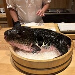 ふぐまどんな - 