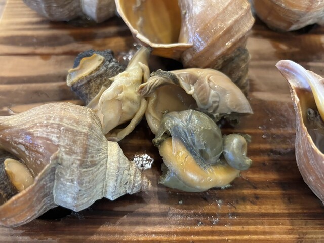 ゴーゴー食堂 港町ぷらっと市場店 - 苫小牧（食堂）の写真