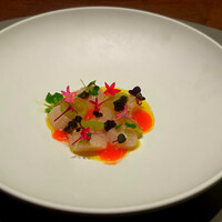 HITO by TACUBO - 