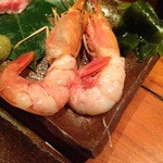 ろばた焼き　でぃぼっと - 赤えび刺し