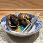 鮨ト酒肴 富かわ - 黒ばいがい