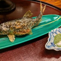 祇園 なん波 -  祇園 なん波 -