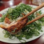 ひろしまギョウザ produced by 餃子家 龍 - ひろしまギョウザ