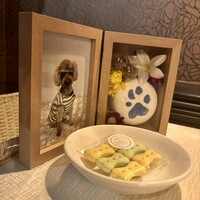 ポーターハウス ステーキ&グリル - 