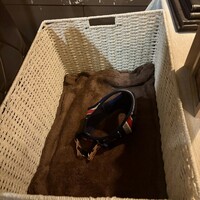 ポーターハウス ステーキ&グリル - 