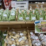 道の駅 通潤橋 - 