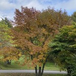 太平洋クラブ軽井沢リゾート - 