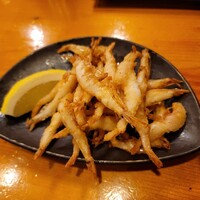 かぐら坂 新富寿司 - 