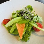 森羅 - グリーンサラダ