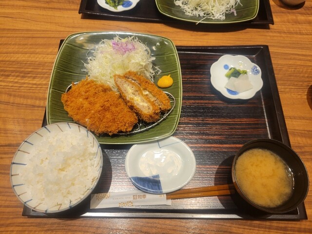 Tonkatsu Wakou Ionmoru Shinmizuhashi Ten