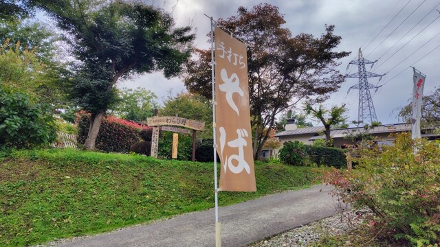 手打そば処 わらび野 - 羽前山辺（そば）の写真