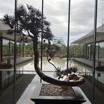 柳城 NAGOYA CASTLE - 