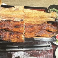 にょろ助 銀座 - 