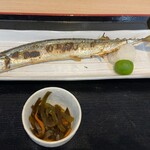 海の幸ふるまいセンター - 料理写真:大船渡港に揚がった新サンマ