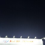 ブルーシール - 