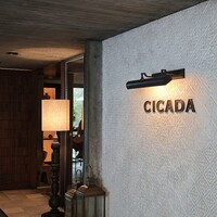 CICADA - 
