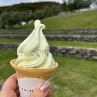 道の駅 小豆島オリーブ公園_0