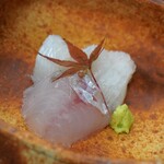 よし町 - お造り：常磐沖産ホウボウお造りと常磐沖産穴子の焼き霜