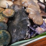 よし町 - 本日の茸UP