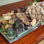 よし町 - 本日の茸