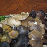 よし町 - 本日の茸UP