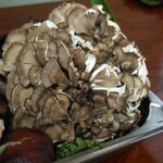 よし町 - 本日の茸UP