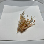 天ぷら  やました - 車海老の足