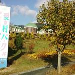 ベール・ドー - 2016年10月　No4　スープカレー他