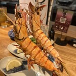 みみずく 名駅店 - 