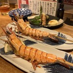 みみずく 名駅店 - 