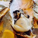 Oysterbar&Wine BELON - 