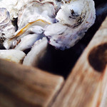 Oysterbar&Wine BELON - 