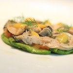 エルルカン・ビス - 