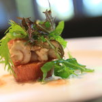 エルルカン・ビス - 