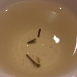 茶柱 きたーーーーーー