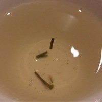 中国飯店 富麗華 - 茶柱 きたーーーーーー