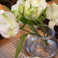 BISTRO FAVORI 代官山 - 