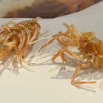 天ぷらふく西 禅と匠 - 