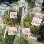 Michi no Eki Hota Shogakko