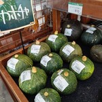 Michi no Eki Hota Shogakko