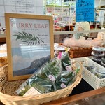 Michi no Eki Hota Shogakko