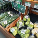 Michi no Eki Hota Shogakko