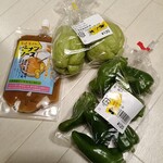 Michi no Eki Hota Shogakko