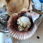 まるはま - 赤ナントカ貝？　気まぐれ入荷　ホタテより味が濃くて美味しかった！