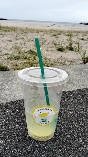 シンチレモネードスタンド（SHINCHI LEMONADE STAND） - 新地（カフェ）の写真