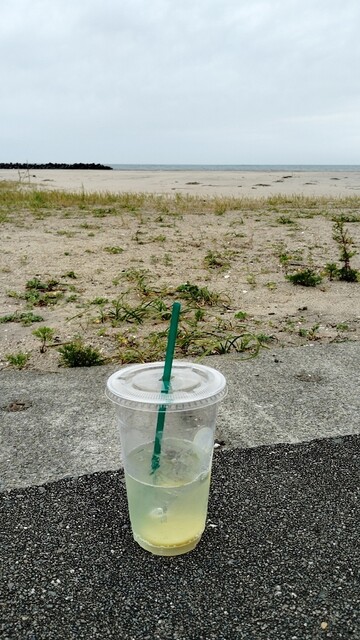 シンチレモネードスタンド（SHINCHI LEMONADE STAND） - 新地（カフェ）の写真