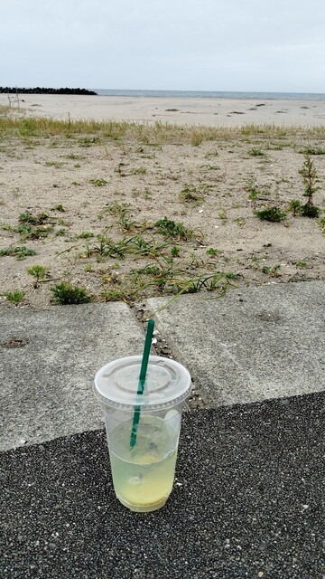 シンチレモネードスタンド（SHINCHI LEMONADE STAND） - 新地（カフェ）の写真