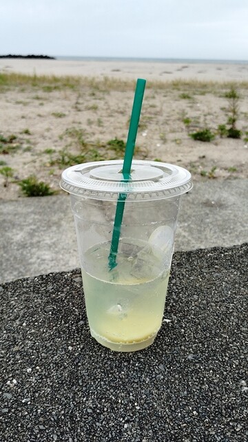 シンチレモネードスタンド（SHINCHI LEMONADE STAND） - 新地（カフェ）の写真